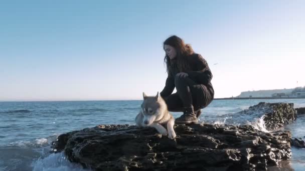 Woman with husky on seacoast — Stock Video