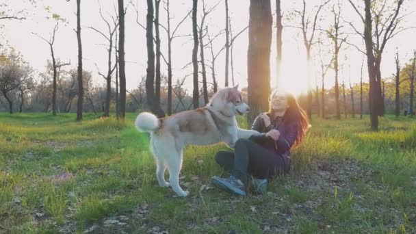 Mulher brincando com husky na floresta — Vídeo de Stock