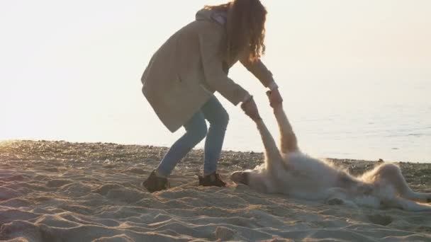 Mulher com Labrador no litoral — Vídeo de Stock