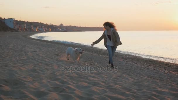 Frau mit Labrador am Meeresufer — Stockvideo