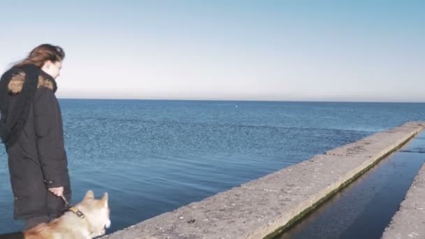 Mujer con husky en la costa — Vídeos de Stock