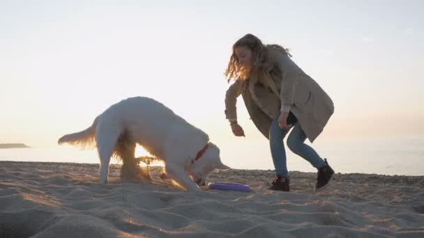 Frau mit Labrador am Meeresufer — Stockvideo