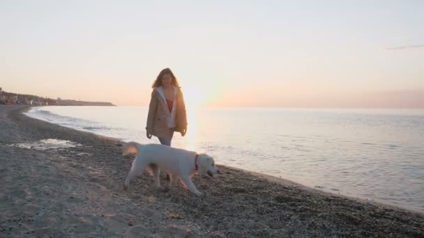 Frau mit Labrador am Meeresufer — Stockvideo