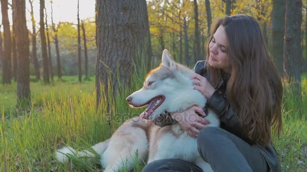 Mujer con husky en el bosque — Vídeo de stock