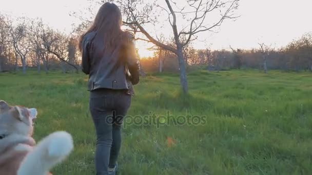 Женщина бегает с хаски в лесу — стоковое видео