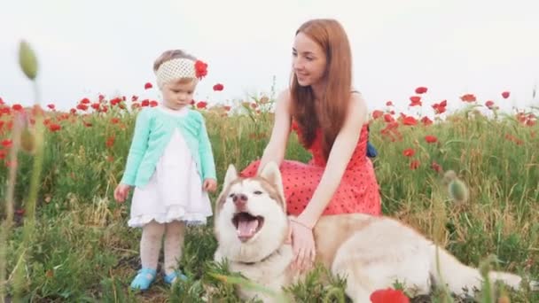 Donna con figlia e cane — Video Stock