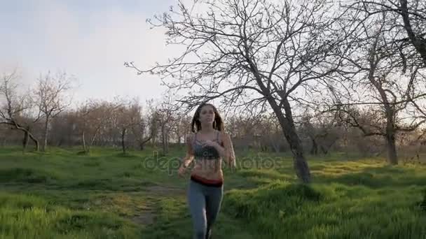 Attractive woman jogging — Stock Video