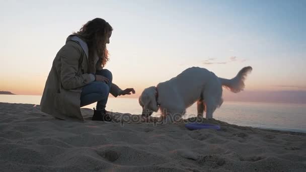 Vrouw met Labrador In zonsondergang — Stockvideo