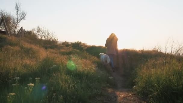 Nő, Labrador Vizsla kutya — Stock videók