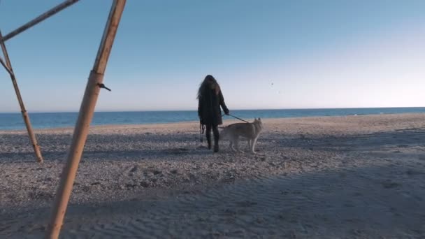 Женщина с хаски на берегу моря — стоковое видео