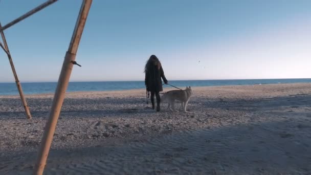 Mujer con husky en la costa — Vídeos de Stock