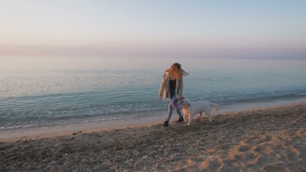 Mulher com Labrador No pôr do sol — Vídeo de Stock