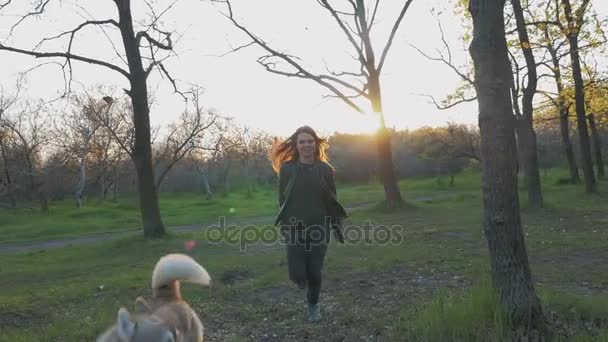 Mulher correr com husky na floresta — Vídeo de Stock