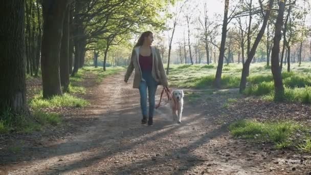 Nő, Labrador a zöld parkban — Stock videók