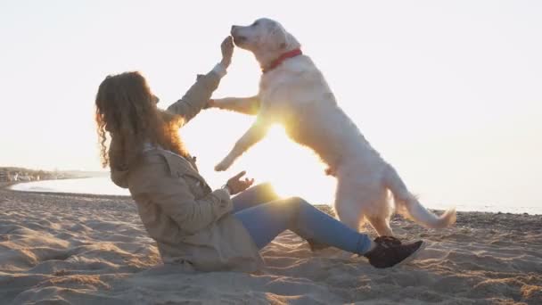 Frau mit Labrador im Sonnenuntergang — Stockvideo