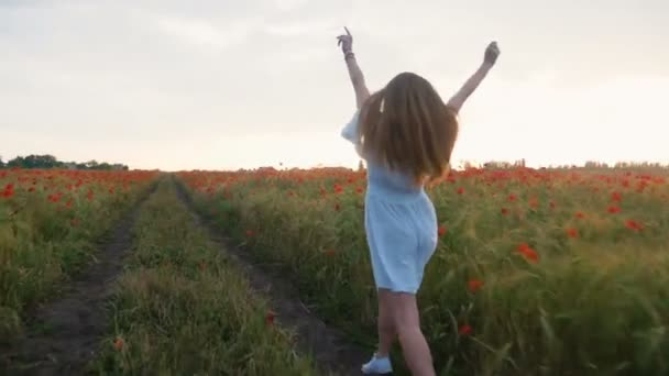 Woman in poppy field — Stock Video