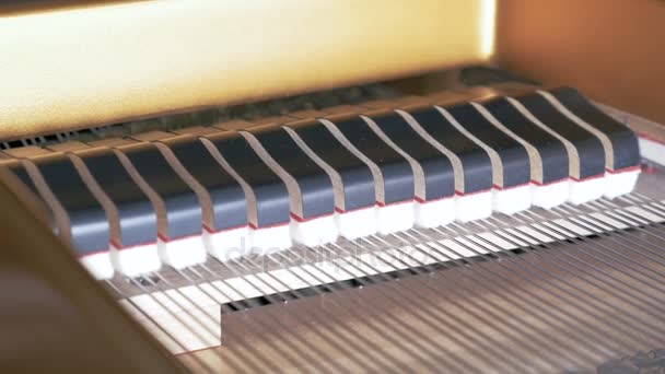 Hombre tocando instrumento de música — Vídeos de Stock