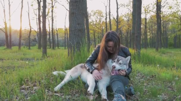 Mujer con husky en el bosque — Vídeo de stock