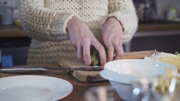 Kvinna matlagning i köket — Stockvideo