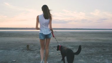 Köpek kadınla sahil üzerinde 