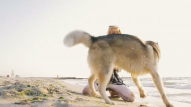 Köpek kadınla sahil üzerinde 