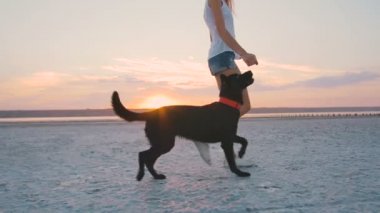 sahil üzerinde siyah köpek kadınla 