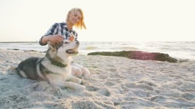 husky sahil üzerinde kadınla 