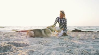 husky sahil üzerinde kadınla 