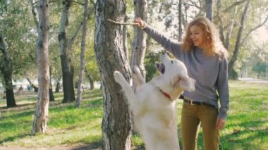 köpek ile kadın oyun 