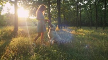 kadın okşayarak köpek parkı
