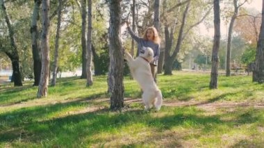 köpek ile kadın oyun 