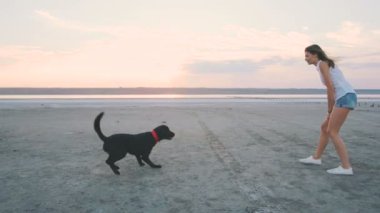 kadın siyah köpek ile oynamak
