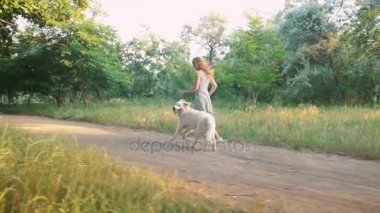 Dişi Labrador yılında Park ile çalıştırın