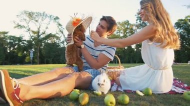 köpek ve tavşan ile Çift