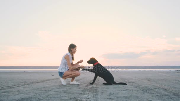 Mujer joven con perro — Vídeos de Stock