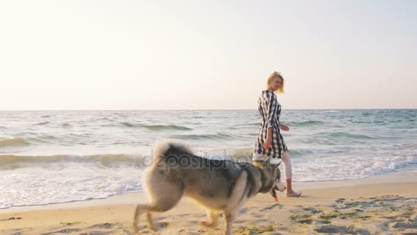 Mujer caminando con perro — Vídeo de stock