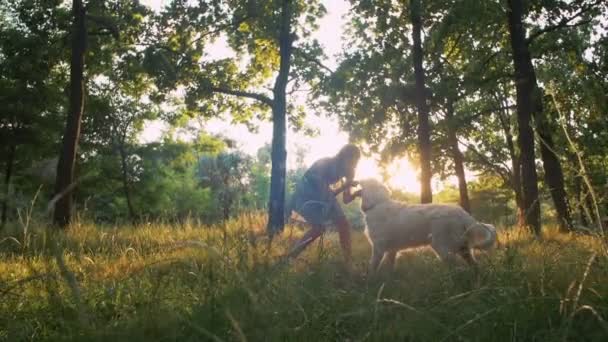 Kvinna leker med hunden i park — Stockvideo