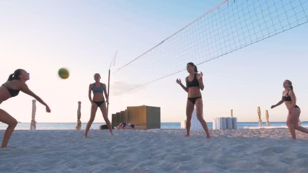 Vrouwen spelen volleybal — Stockvideo