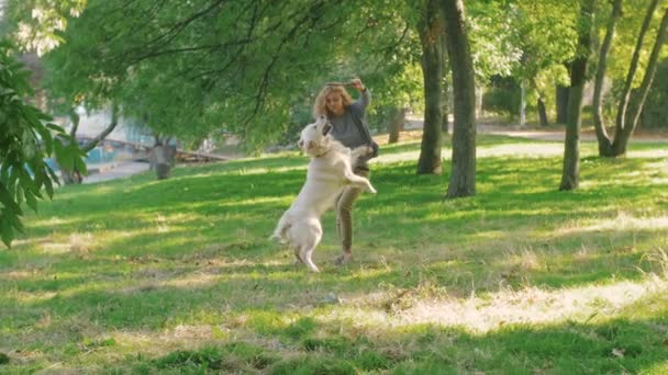 女性は、公園で犬と遊ぶ — ストック動画