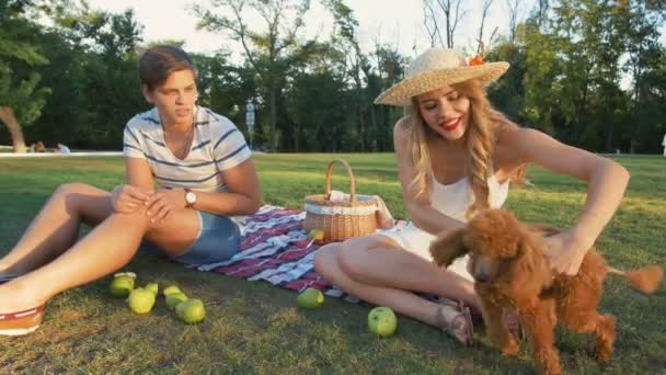 Pareja en el picnic Descanso con perro — Vídeos de Stock