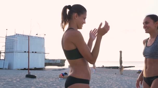 Mulheres felizes na praia — Vídeo de Stock