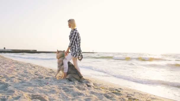 Mujer con perro en la puesta del sol — Vídeo de stock