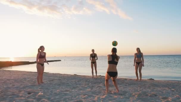 Women play volleyball — Stock Video