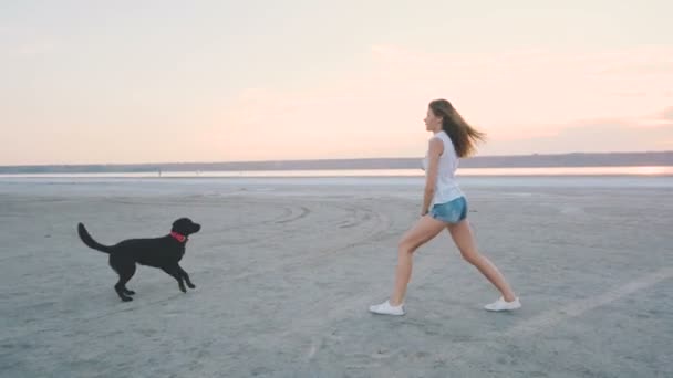 Mulher com cão preto no litoral — Vídeo de Stock