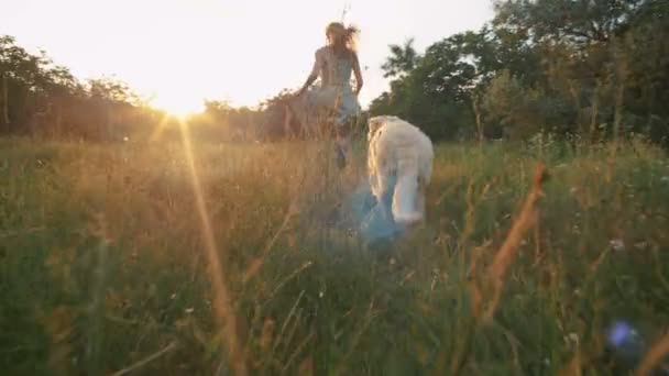 Weibchen laufen mit Labrador im Park — Stockvideo