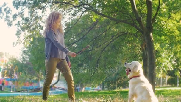 Vrouw spelen met de hond in park — Stockvideo