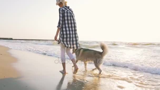 Wanita berjalan dengan anjing di pantai — Stok Video