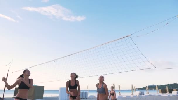 Las mujeres juegan voleibol — Vídeo de stock