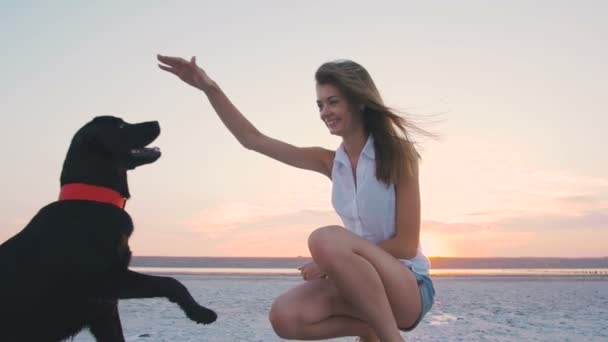 Mujer con perro negro — Vídeo de stock