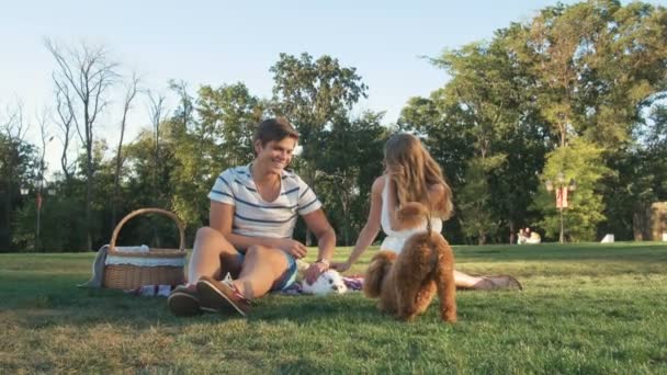 Casal brincando com cão e coelho — Vídeo de Stock